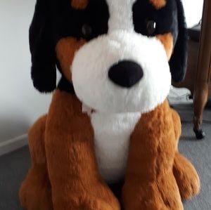 Meet your Posher, Gail